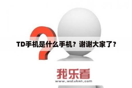 TD手机是什么手机？谢谢大家了？