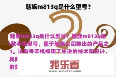 魅族m813q是什么型号？