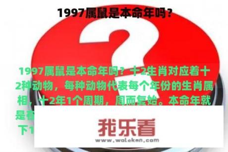 1997属鼠是本命年吗？