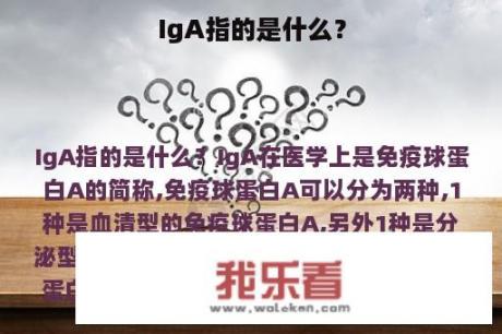 IgA指的是什么？