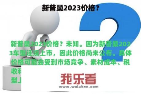 新普桑2023价格？