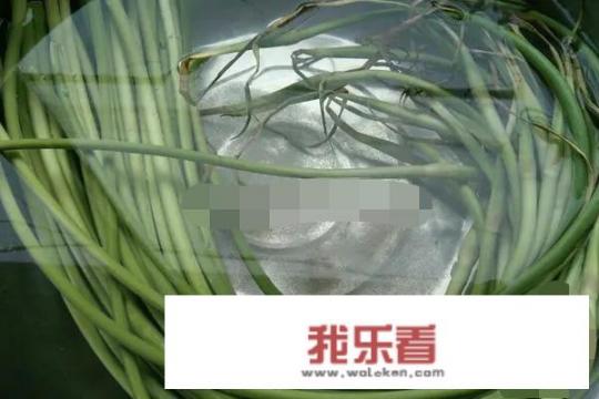 生蒜苔腌制的6个方法？