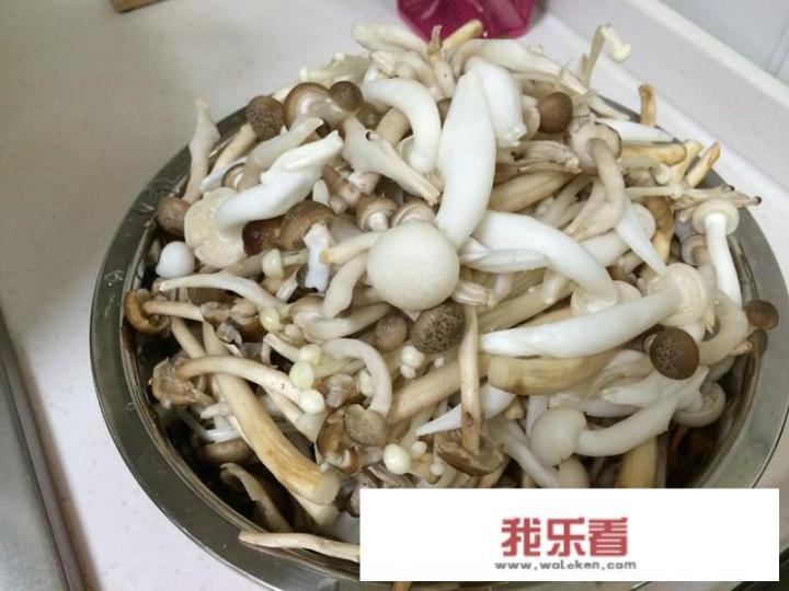 菇类汤的家常做法？