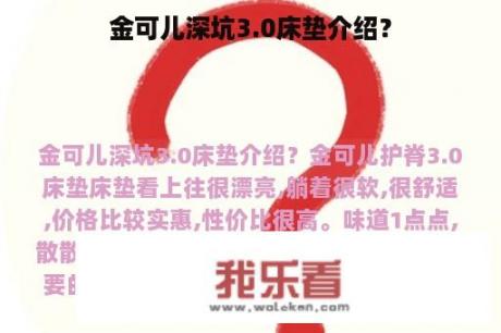 金可儿深坑3.0床垫介绍？