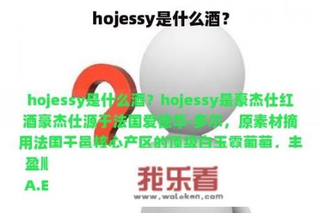 hojessy是什么酒？