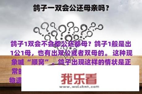 鸽子一双会公还母亲吗？