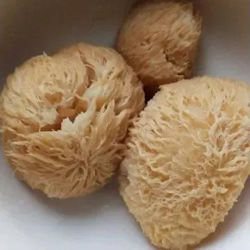 干猴头菇家常做法？