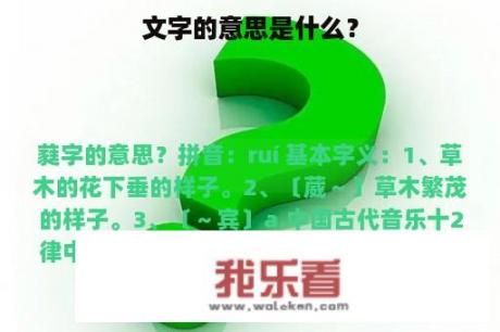 文字的意思是什么？