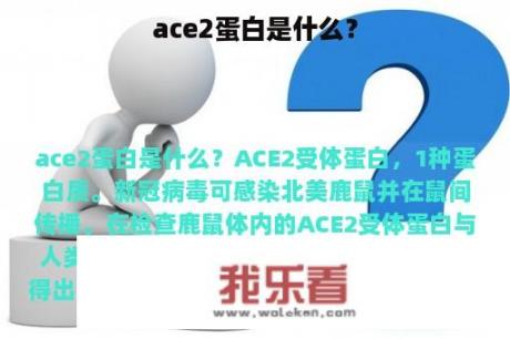 ace2蛋白是什么？