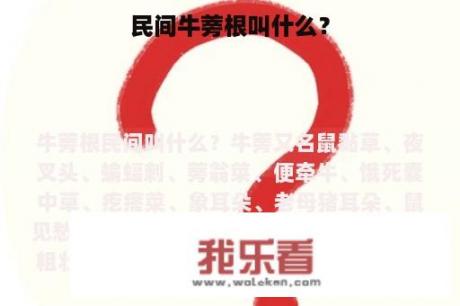 民间牛蒡根叫什么？