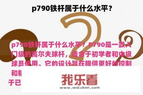 p790铁杆属于什么水平？