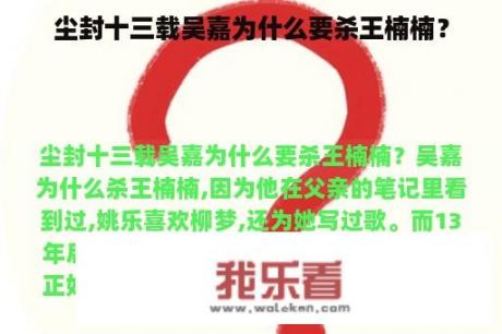 尘封十三载吴嘉为什么要杀王楠楠？