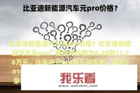 比亚迪新能源汽车元pro价格？