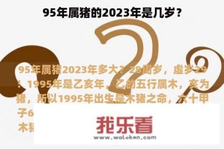 95年属猪的2023年是几岁？