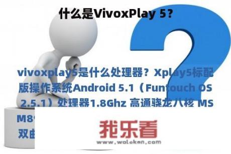 什么是VivoxPlay 5？