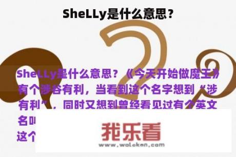 SheLLy是什么意思？