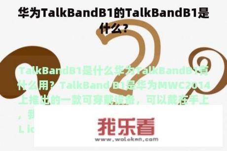 华为TalkBandB1的TalkBandB1是什么？