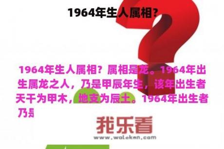 1964年生人属相？