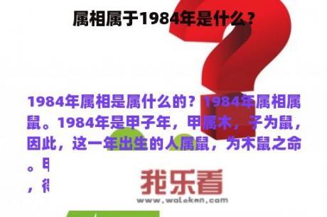 属相属于1984年是什么？