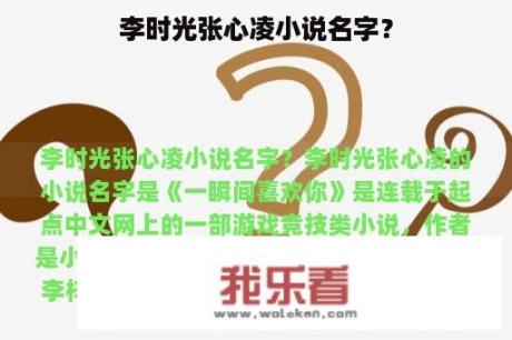 李时光张心凌小说名字？