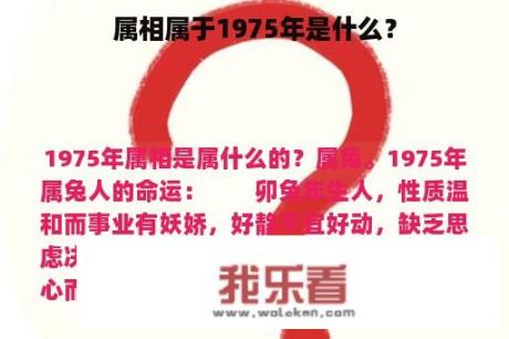 属相属于1975年是什么？