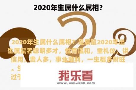 2020年生属什么属相？