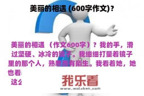 美丽的相遇 (600字作文)？