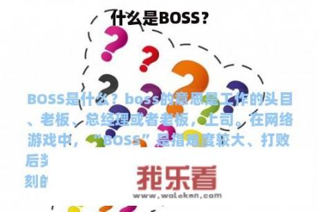 什么是BOSS？