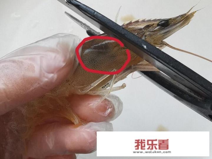 大虾怎么去虾线？