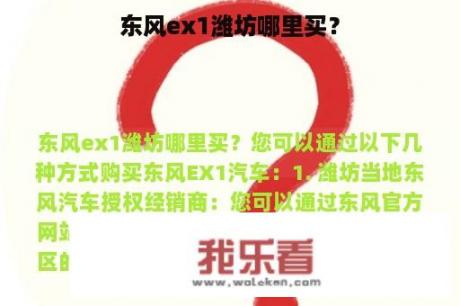 东风ex1潍坊哪里买？