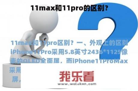 11max和11pro的区别？