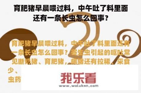 育肥猪早晨喂过料，中午吐了料里面还有一条长虫怎么回事？