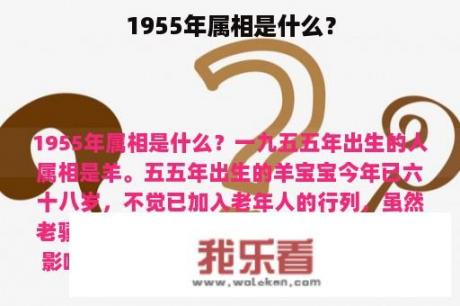 1955年属相是什么？