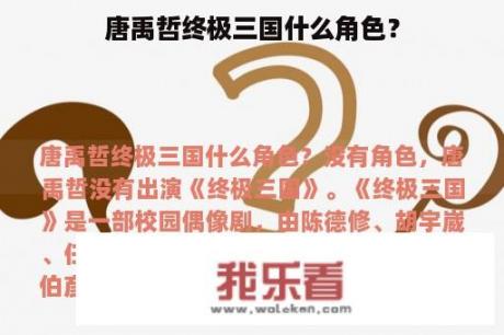 唐禹哲终极三国什么角色？