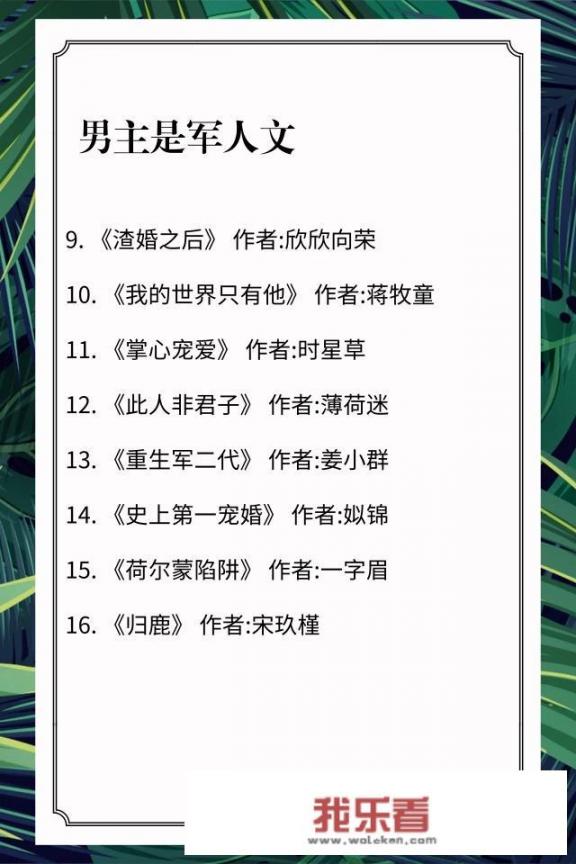 哪位好心人能推荐几本男主是军人或警察的言情小说？