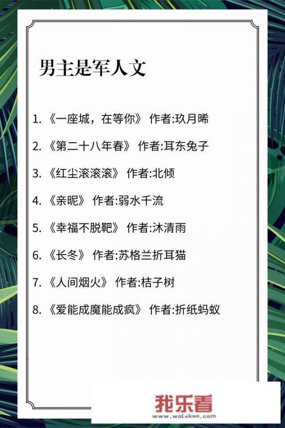 哪位好心人能推荐几本男主是军人或警察的言情小说？