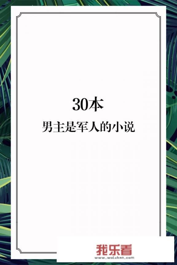 哪位好心人能推荐几本男主是军人或警察的言情小说？