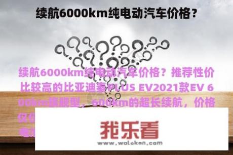 续航6000km纯电动汽车价格？