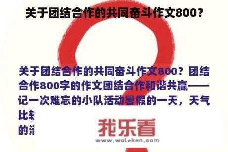 关于团结合作的共同奋斗作文800？