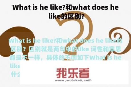 What is he like?和what does he like的区别？