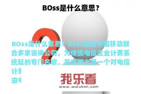 BOss是什么意思？