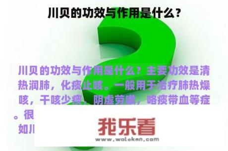 川贝的功效与作用是什么？