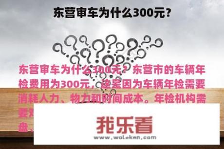 东营审车为什么300元？