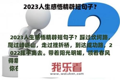 2023人生感悟精辟短句子？