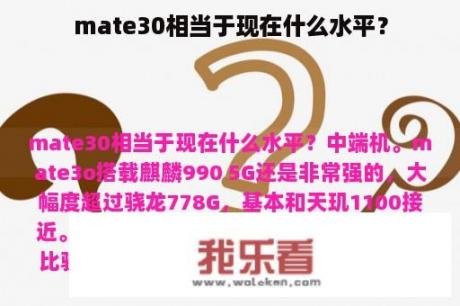 mate30相当于现在什么水平？