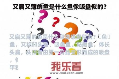 又扁又薄的鱼是什么鱼像吸盘似的？