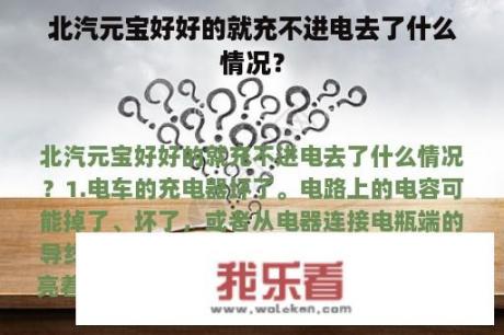 北汽元宝好好的就充不进电去了什么情况？