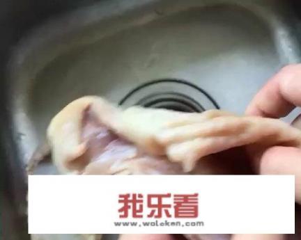 鳘鱼肚煲汤的做法？