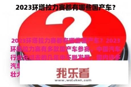 2023环塔拉力赛都有哪些国产车？