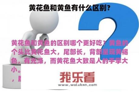 黄花鱼和黄鱼有什么区别？